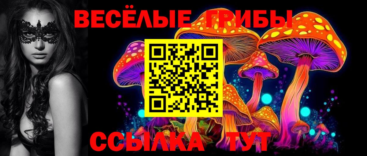 Набережные Челны  Галлюциногенные грибы Psilocybine cubensis  Вход с VPN 